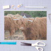 高地牛 薄葉紙 (クラフト)