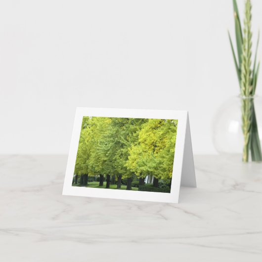 高地Ave、ピッツバーグPAのイチョウの木 カード (正面)