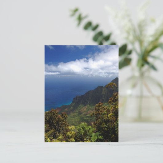 高家江原野 ポストカード (スタンド正面)