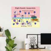 高密度リポ蛋白HDL図 ポスター (ホームオフィス)