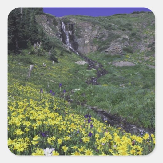 高山の草原に佇む滝と野の花、 スクエアシール (正面)