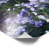 高山の草原の山々と野花、 フォトプリント (角)