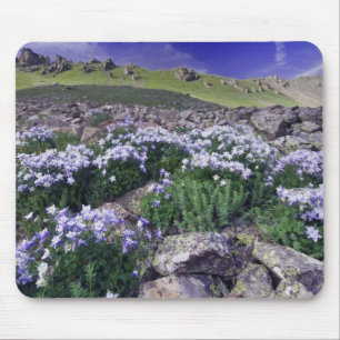 高山の草原の山々と野花、 マウスパッド