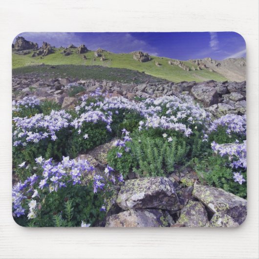 高山の草原の山々と野花、 マウスパッド (正面)