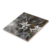 高山のEdelweiss タイル (側面)