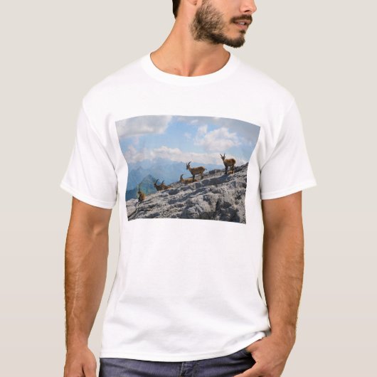 高山のIbexの野生のマウンテンゴート Tシャツ (正面)