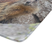 高山のMarmotのガラスまな板 カッティングボード (角)