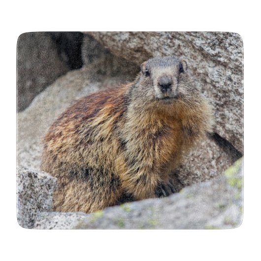 高山のMarmotのガラスまな板 カッティングボード (正面)