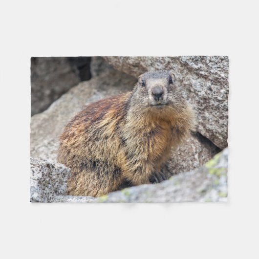 高山のMarmotのフリースブランケット フリースブランケット (正面(横))
