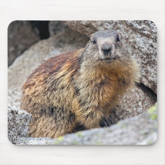 高山のMarmotのマウスマット マウスパッド (正面)