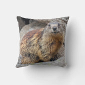 高山のMarmotの枕 クッション (裏面)