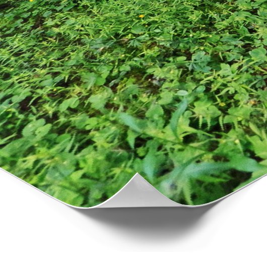 高山林 ポスター (角)