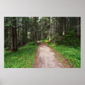 高山林 ポスター (正面)