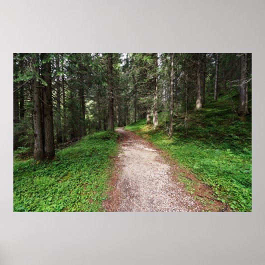 高山林 ポスター (正面)