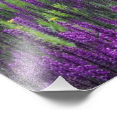 高山草原の山と山花, 2 フォトプリント (角)