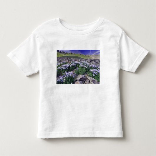 高山草原の山や山の花 トドラーTシャツ (正面)