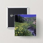 高山草原の滝と野草2 缶バッジ (正面&裏面)