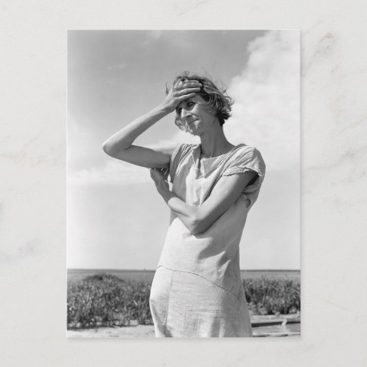 高平原の人 ポストカード (正面)