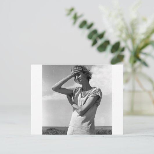 高平原の人 ポストカード (スタンド正面)