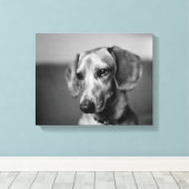 高感度ダックスフント キャンバスプリント (インサイチュ (ウッドフロア))