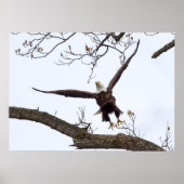 高揚 ポスター (正面)