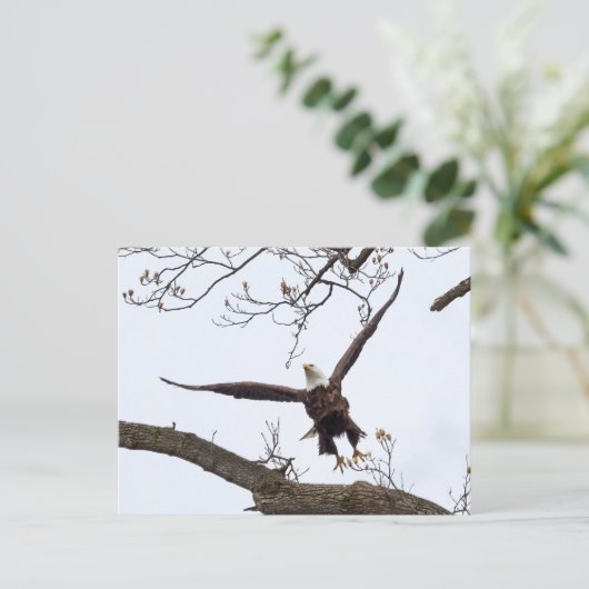 高揚 ポストカード (スタンド正面)