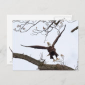 高揚 ポストカード (正面/裏面)