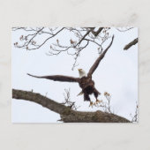 高揚 ポストカード (正面)