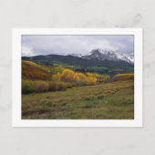 高田秋 ポストカード (正面)