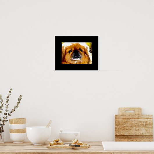 高知 ポスター (キッチン)