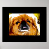 高知 ポスター (正面)