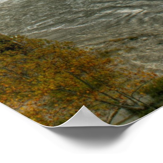 高秋 ポスター (角)