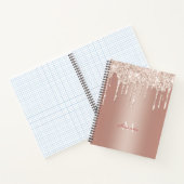 高級バラ金ゴールドグリッタードリップ付き名前/モノグラムN ノートブック (内部)