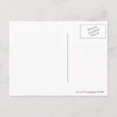 高級ブラックと金ゴールドクリスマスカード シーズンポストカード (裏面)