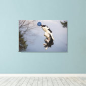 高縁どいボールをキャッチする直前のコリー キャンバスプリント (インサイチュ (ウッドフロア))