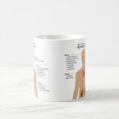 高血圧の図表の主要な複雑化 コーヒーマグカップ (中央)