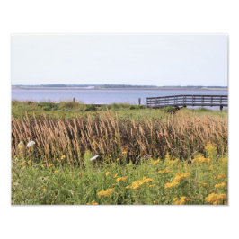 高解像度の写真、海、橋、ワイルドフラワー フォトプリント           