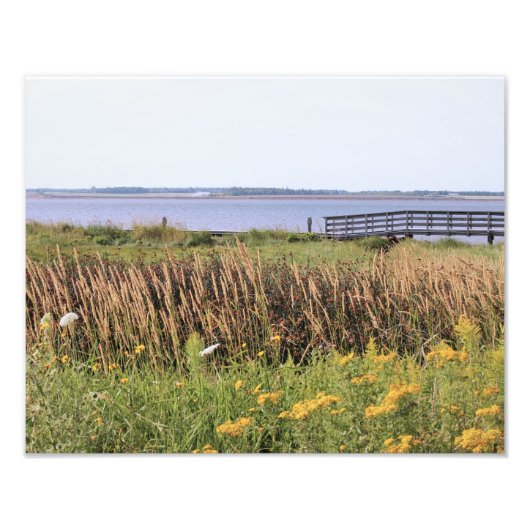 高解像度の写真、海、橋、ワイルドフラワー フォトプリント            (正面)