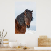 高貴なアイスランド馬の顔写真 ポスター (キッチン)