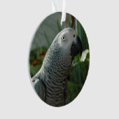 高貴なアフリカ灰色のオウム オーナメント (正面)