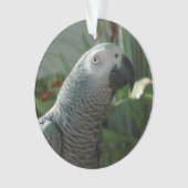 高貴なアフリカ灰色のオウム オーナメント (正面)