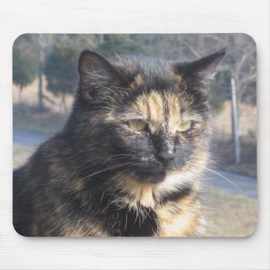 高貴な猫 マウスパッド (正面)