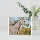 高貴誇りを持ったで ポストカード (スタンド正面)