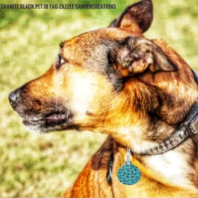 高速道路 ペット　ネームタグ (Don't forget ID tags for your beloved, pet!)