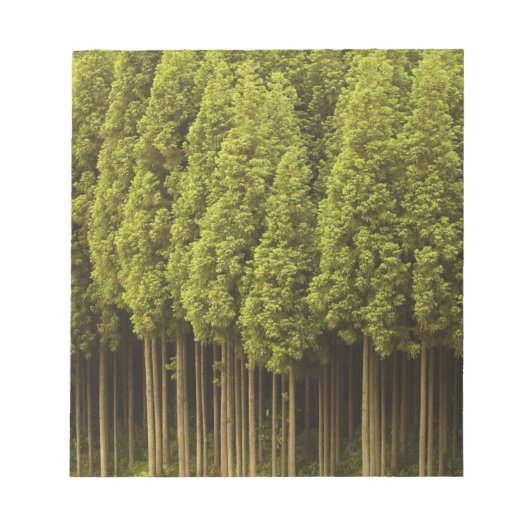 高野杉木 ノートパッド (正面)