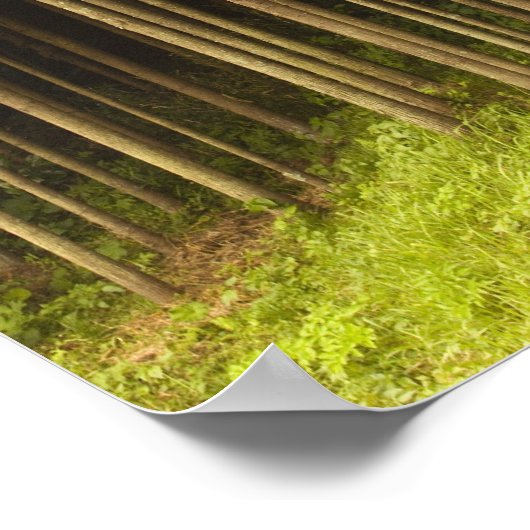 高野杉木 ポスター (角)