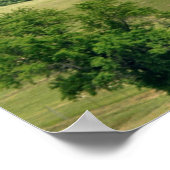 高飛翔 ポスター (角)