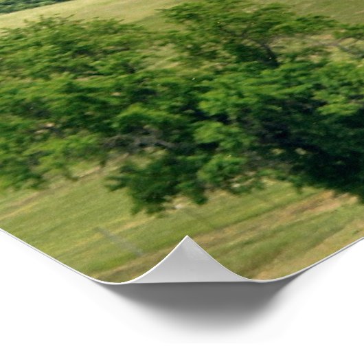 高飛翔 ポスター (角)