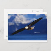 高騰する高ファインアート ポストカード (正面/裏面)