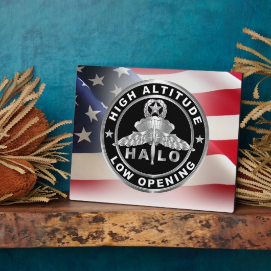 高高度低開口部(HALO)翼 フォトプラーク (側面)